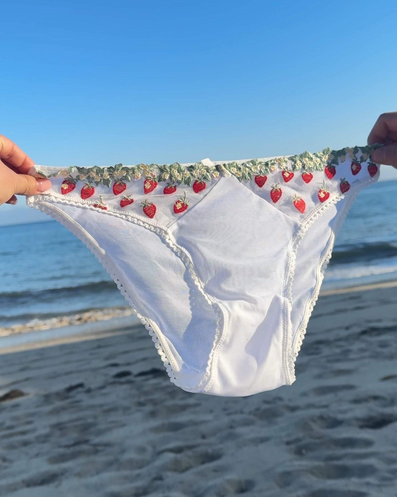 Milanblocks Cutest panty you will ever own Sample sale