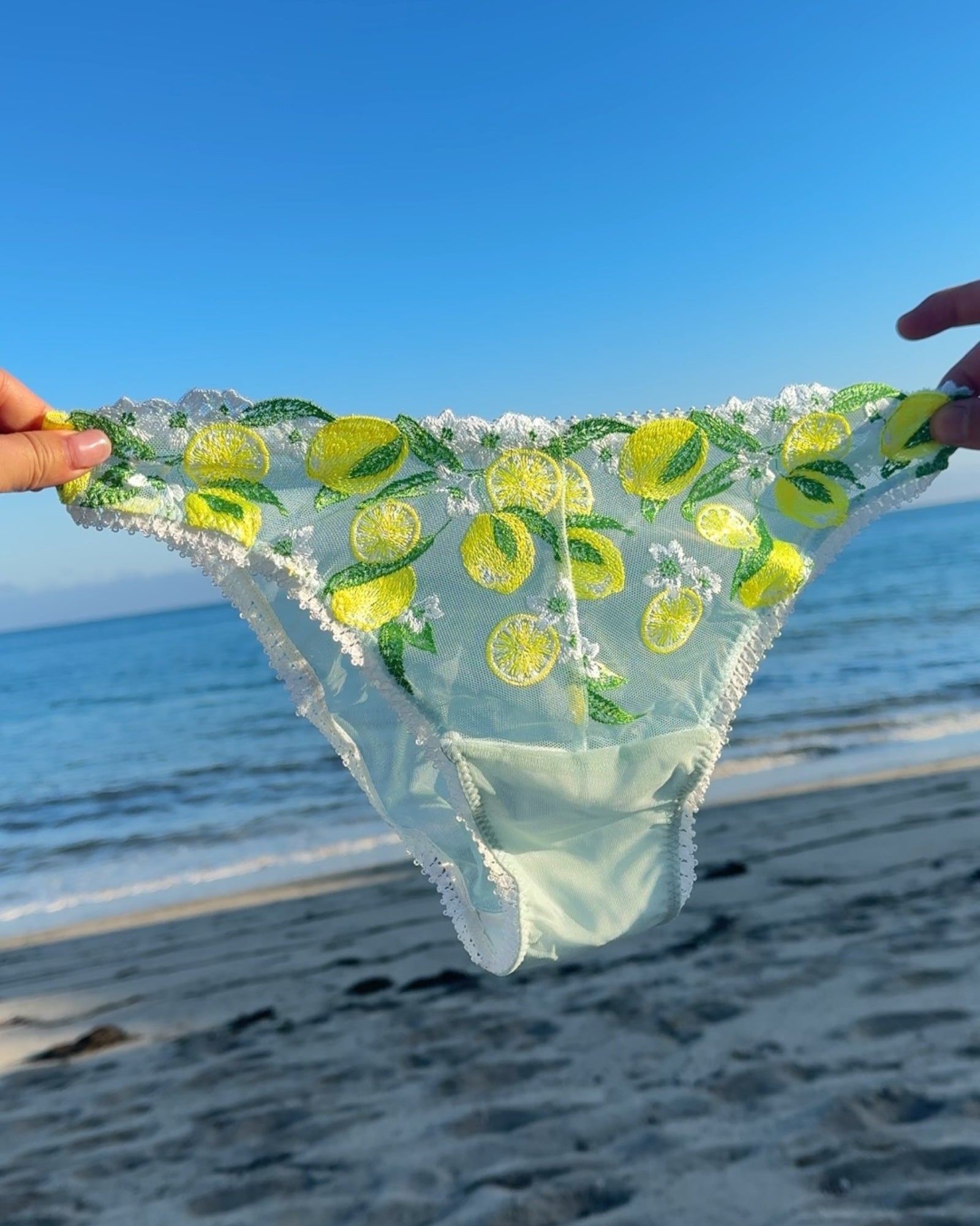 Milanblocks Cutest panty you will ever own Sample sale