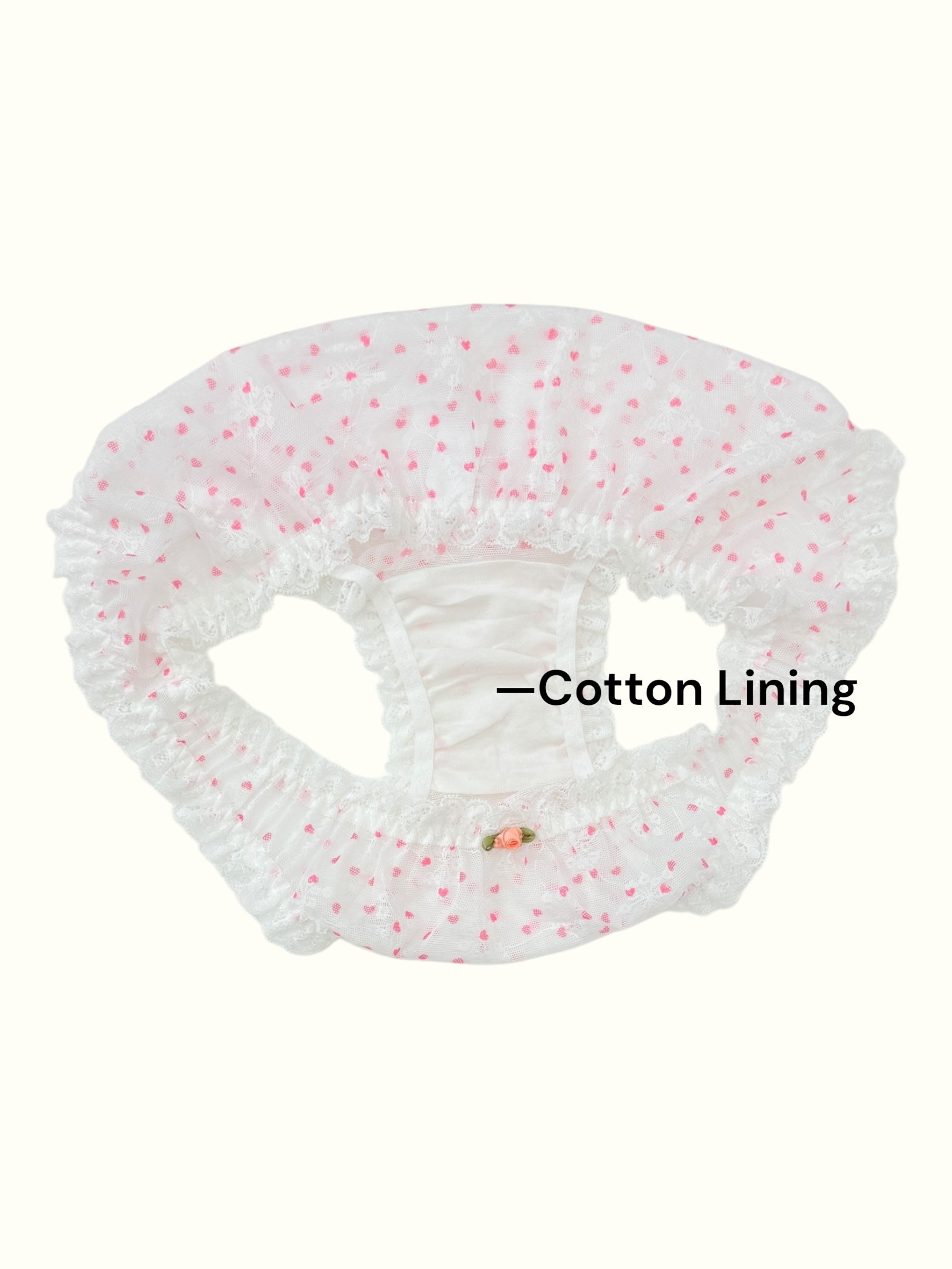 Romantic Lace Trim Panty with Vintage Charm