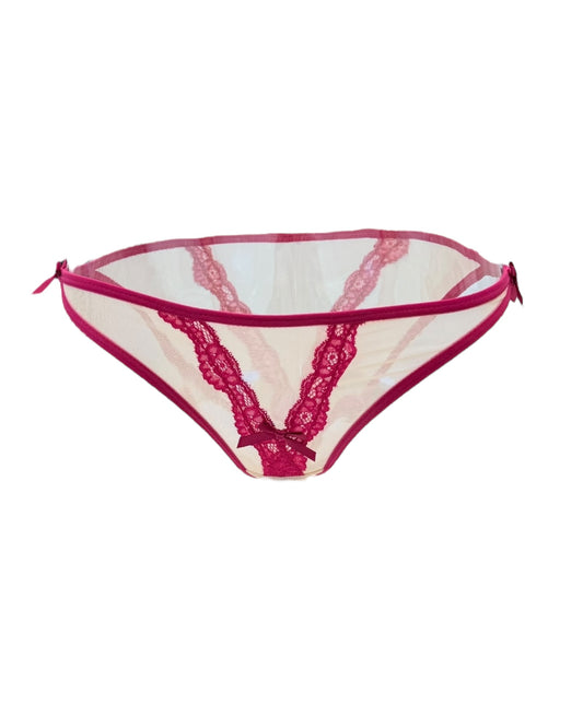 Vivid Lace Trim Mesh Brief