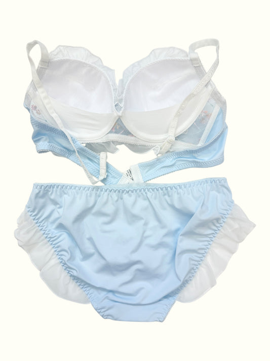 Frosted Blossom Embroidered Bra & Panty Set – Ruffled Romance
