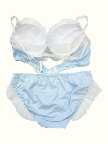 Frosted Blossom Embroidered Bra & Panty Set – Ruffled Romance