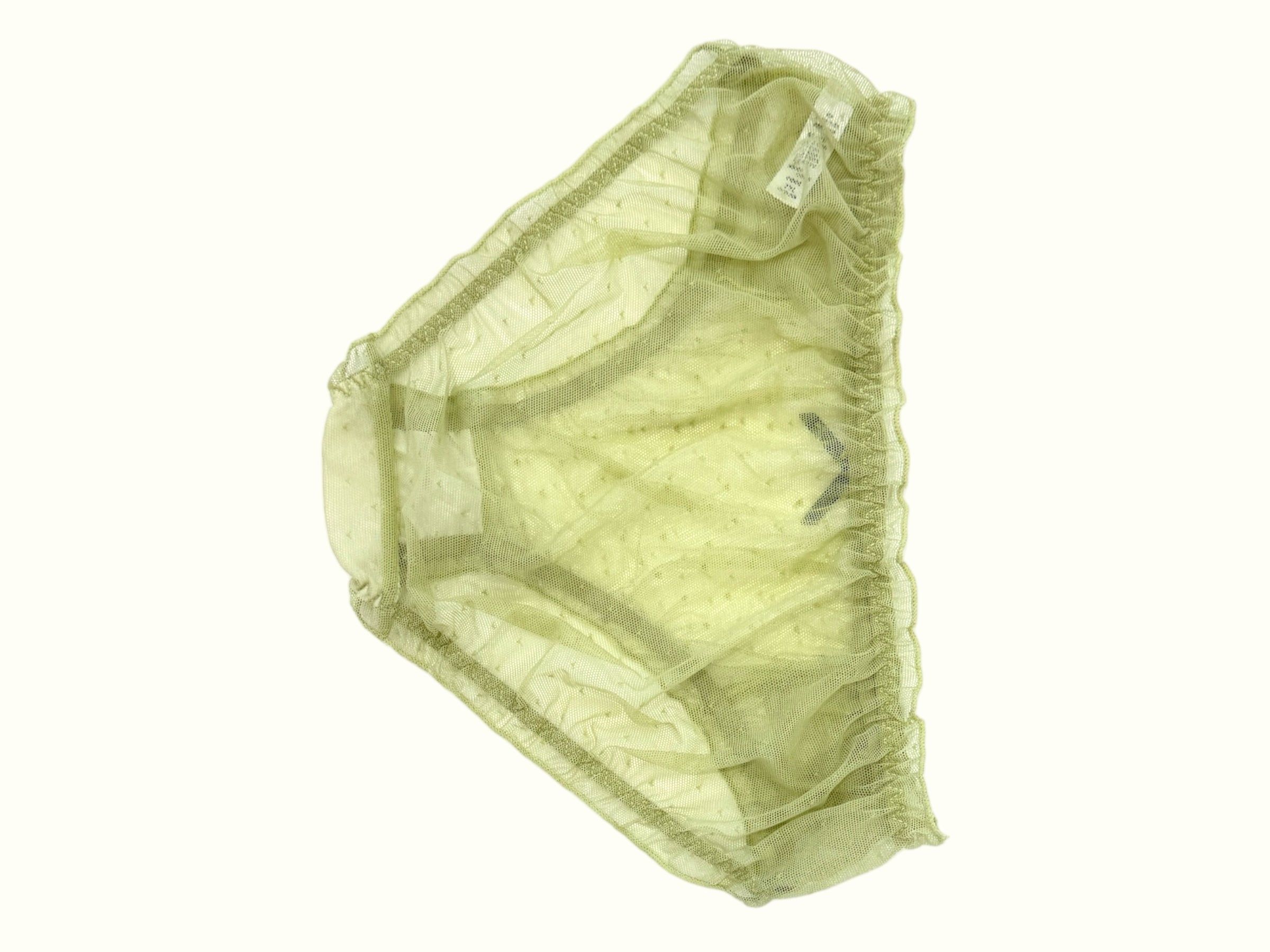 Sheer Ruffle Mesh Panties with Embroidered Detail