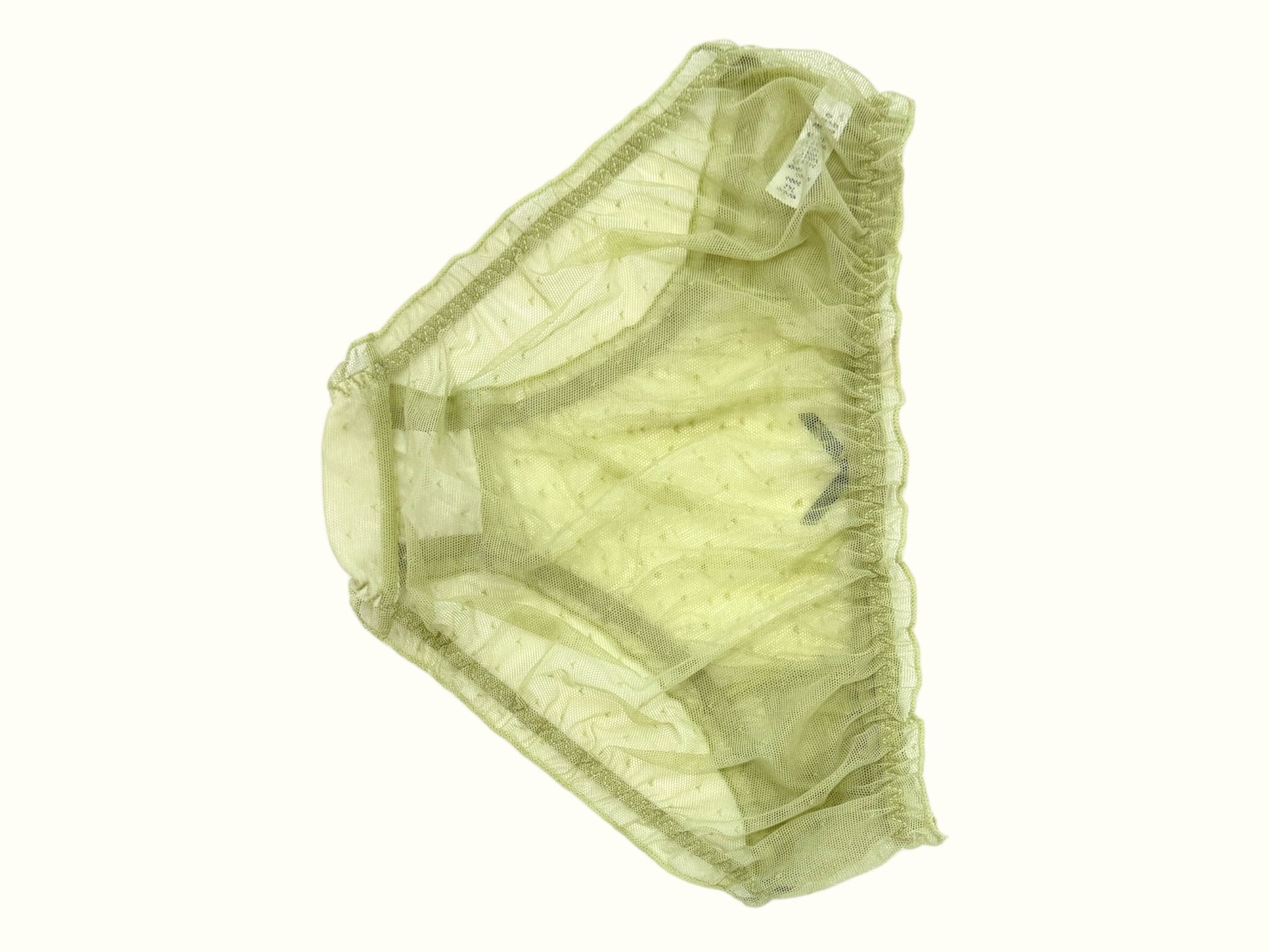 Sheer Ruffle Mesh Panties with Embroidered Detail