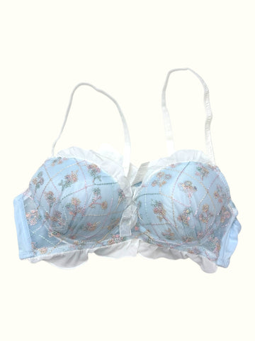 Frosted Blossom Embroidered Bra & Panty Set – Ruffled Romance