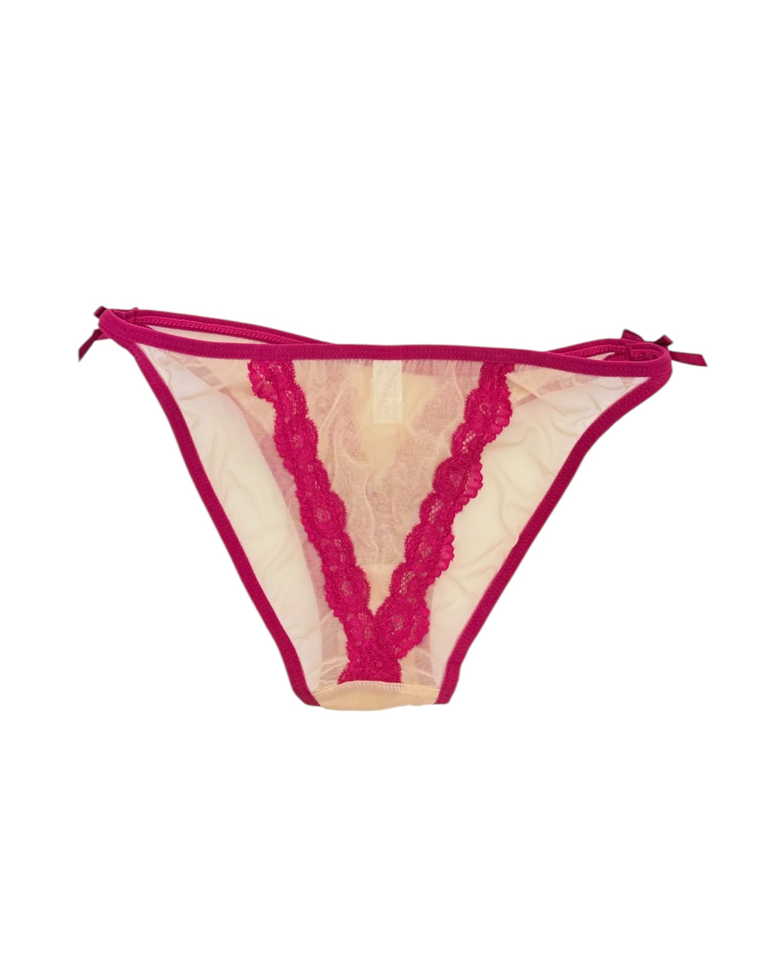 Vivid Lace Trim Mesh Brief
