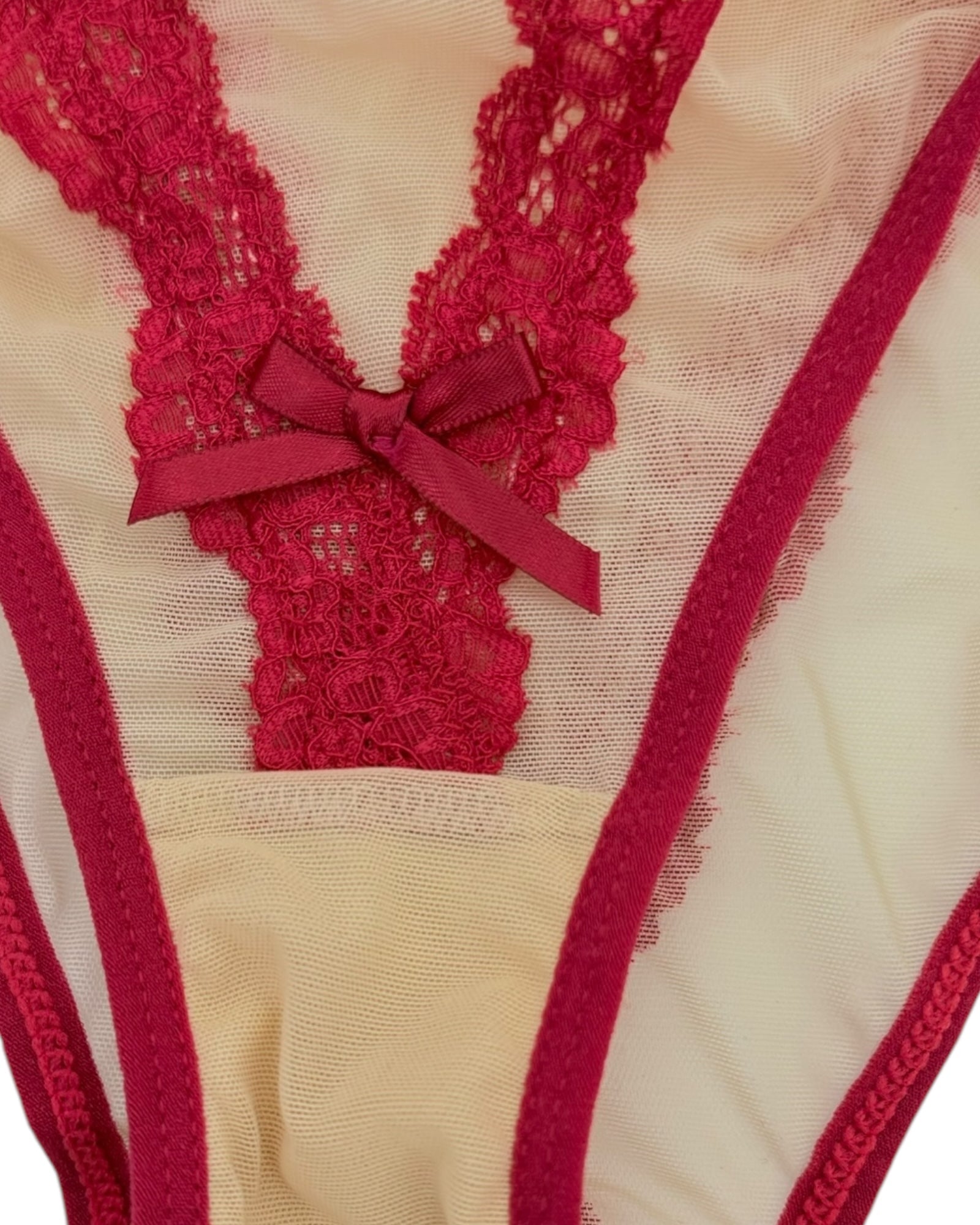 Vivid Lace Trim Mesh Brief