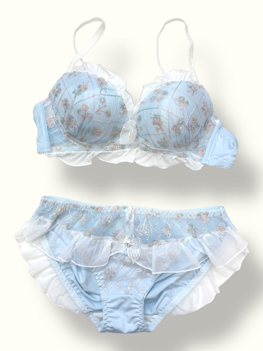Frosted Blossom Embroidered Bra & Panty Set – Ruffled Romance