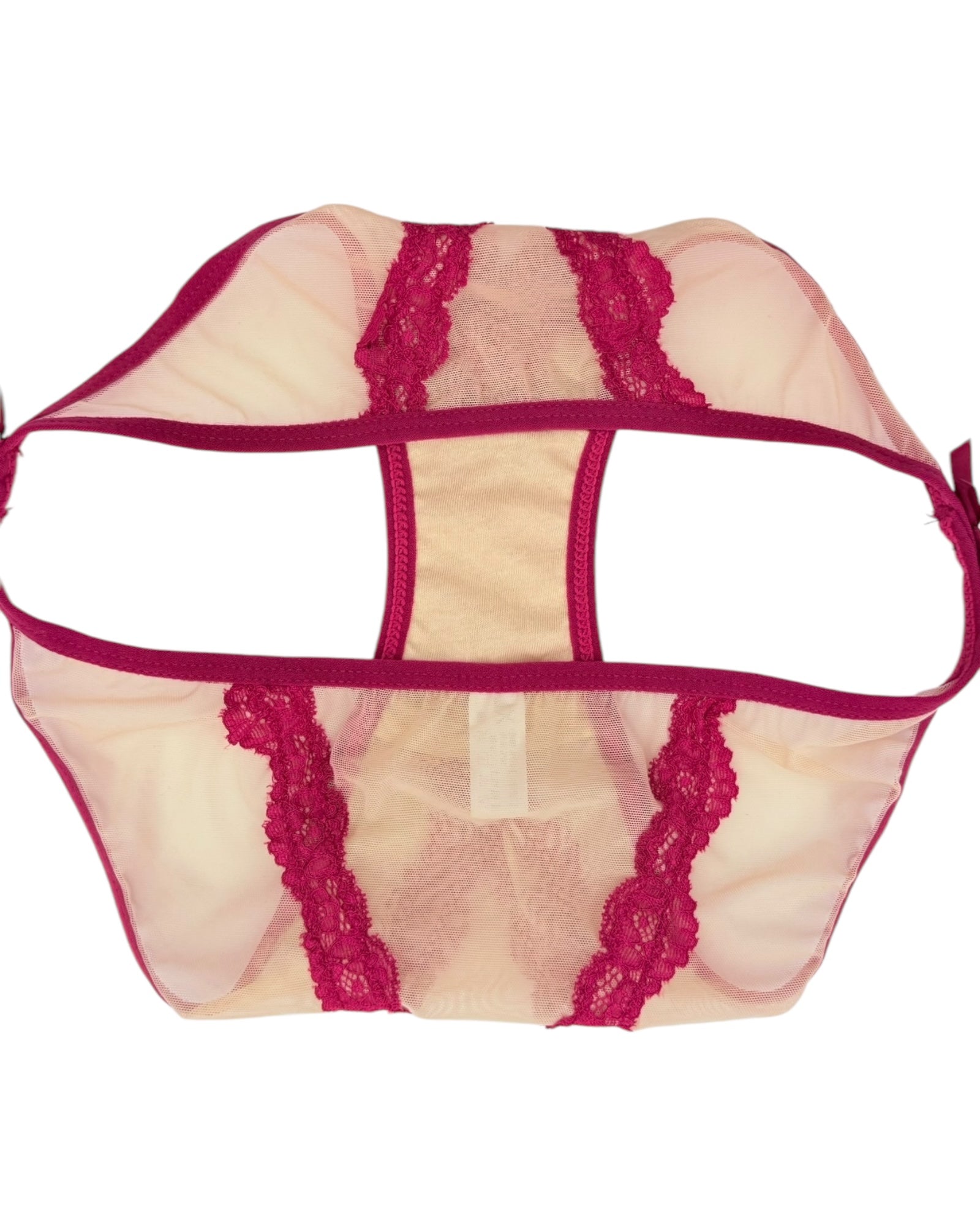Vivid Lace Trim Mesh Brief