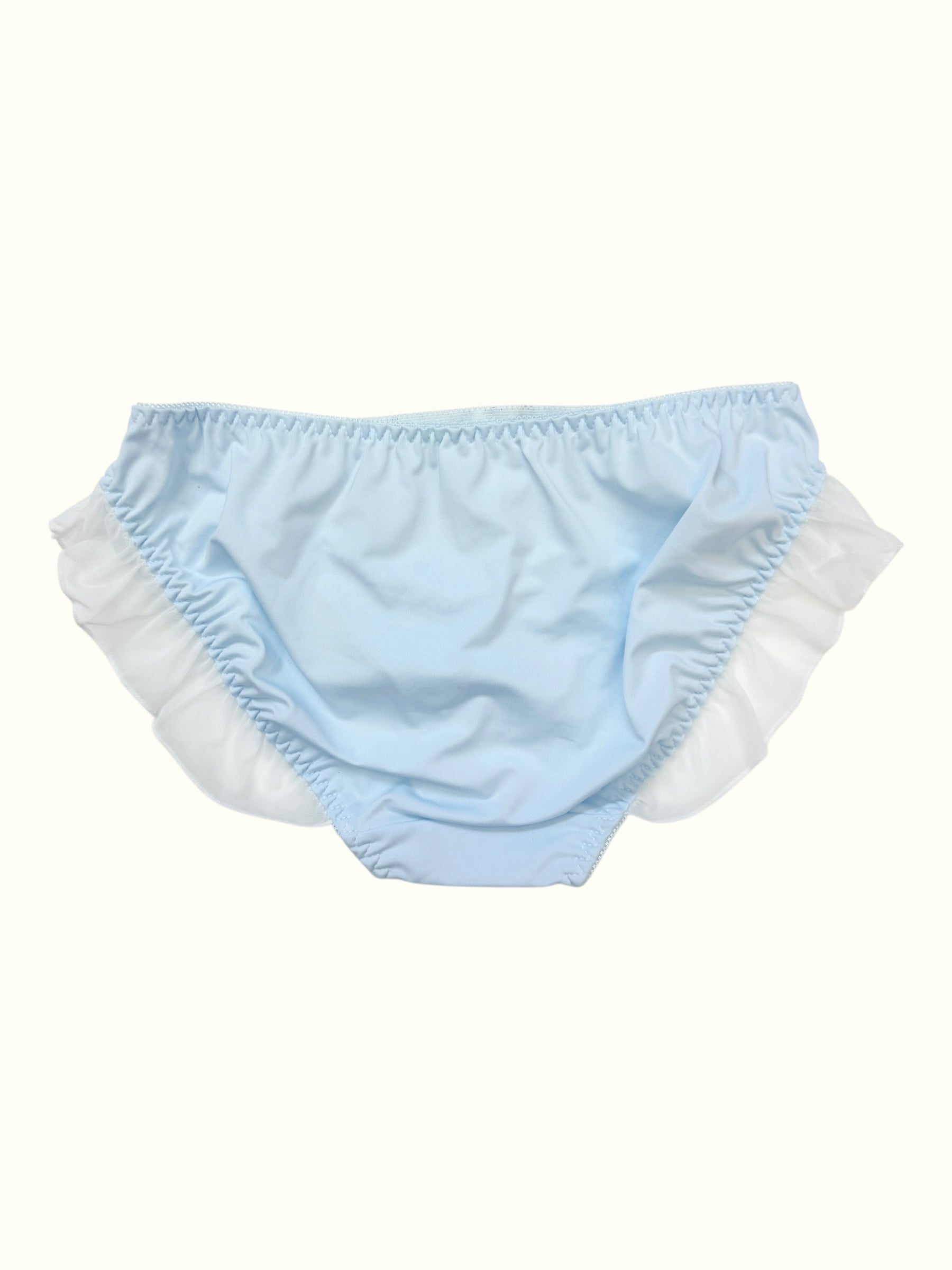 Blue Embroidered Panty